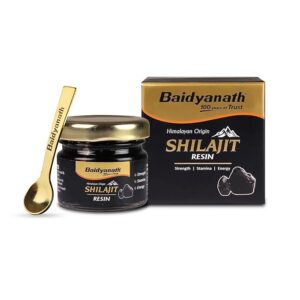 Baidyanath Ayurved Himalayan Shilajit Resin 10g