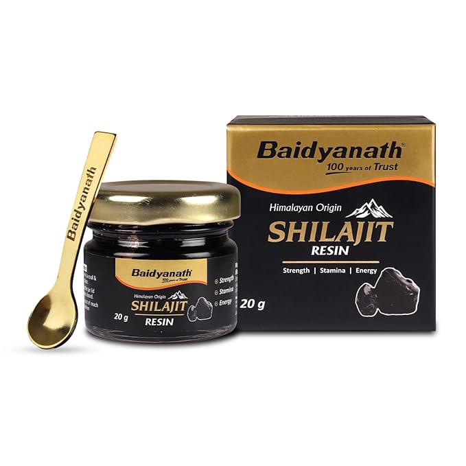 Baidyanath Ayurved Himalayan Shilajit Resin 20g